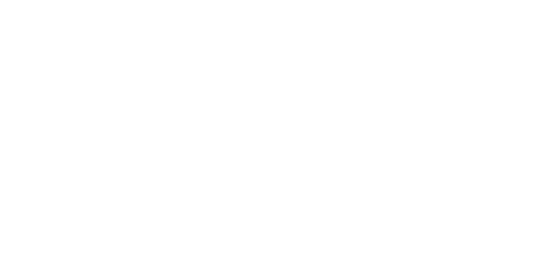 The image shows the Lowes logo with the name in bold white letters inside a stylized house shape.